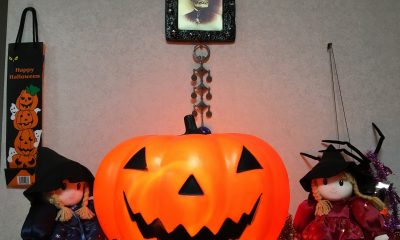 保護中: ハロウィーン　2019.10